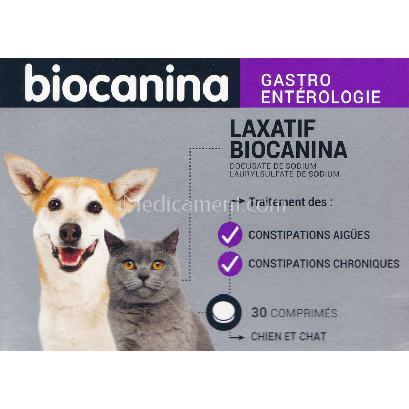 Le stress chez le chat - Biocanina