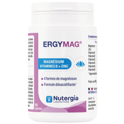 ErgyMag Magnésium 90 Gélules Nutergia