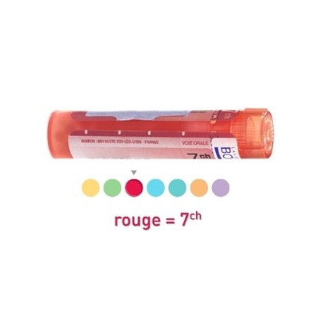 Astérias rubens dose, granules Boiron 4CH, 5CH, 7CH, 9CH, 12CH, 15CH, 30CH, 8DH