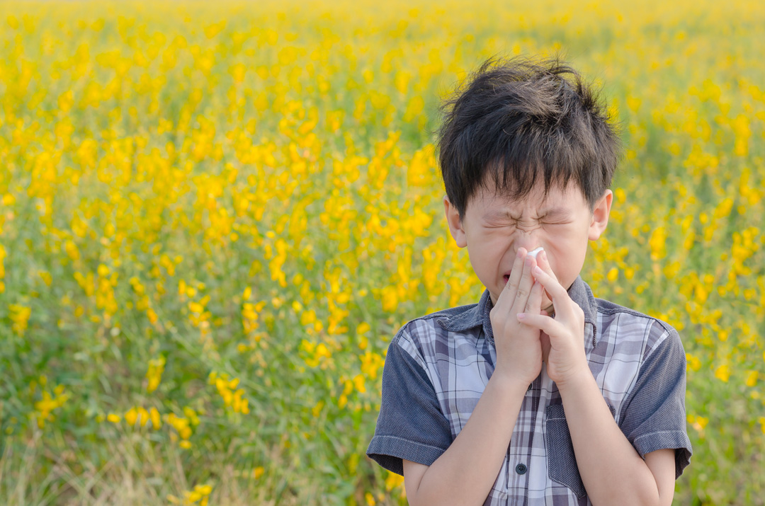 conseils et remèdes contre les allergies respiratoires